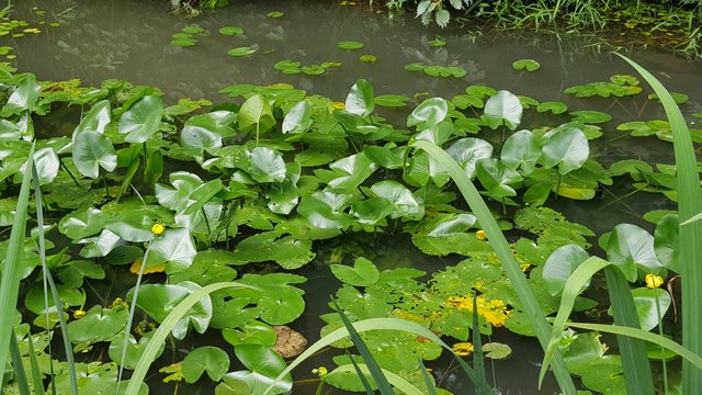 산막이옛길10.jpg