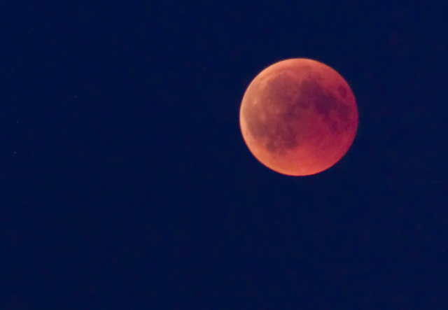 Blutmond1@0.5x.png