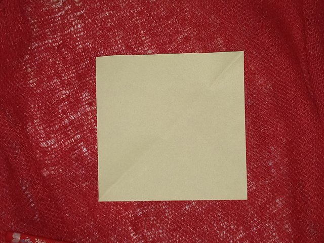 20250404_122608.jpg