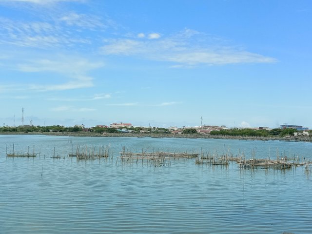 IMG_20250405_134210.jpg