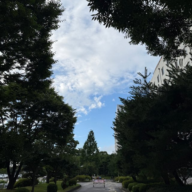 IMG_4356.jpeg