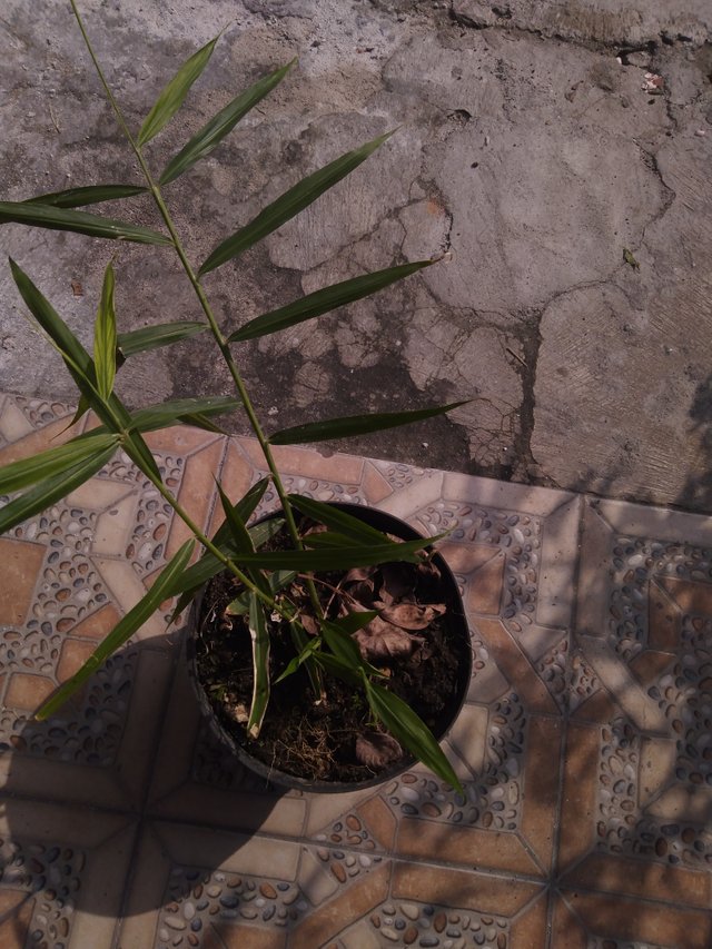 IMG20220427081518.jpg