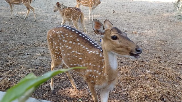 20250119_094011.jpg