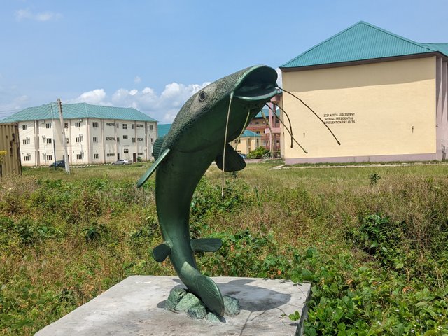 1000551067.jpg
