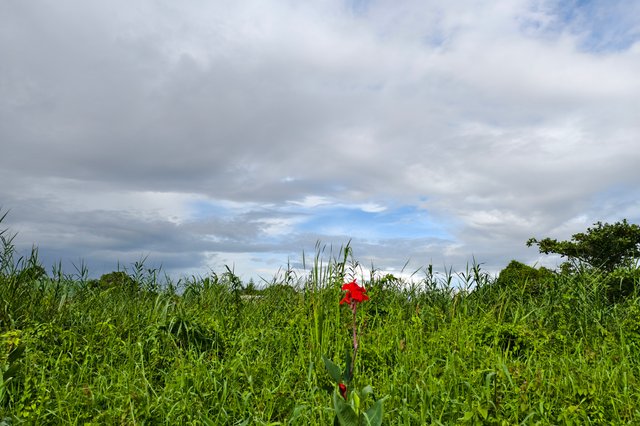 IMG_20250704_151558.jpg