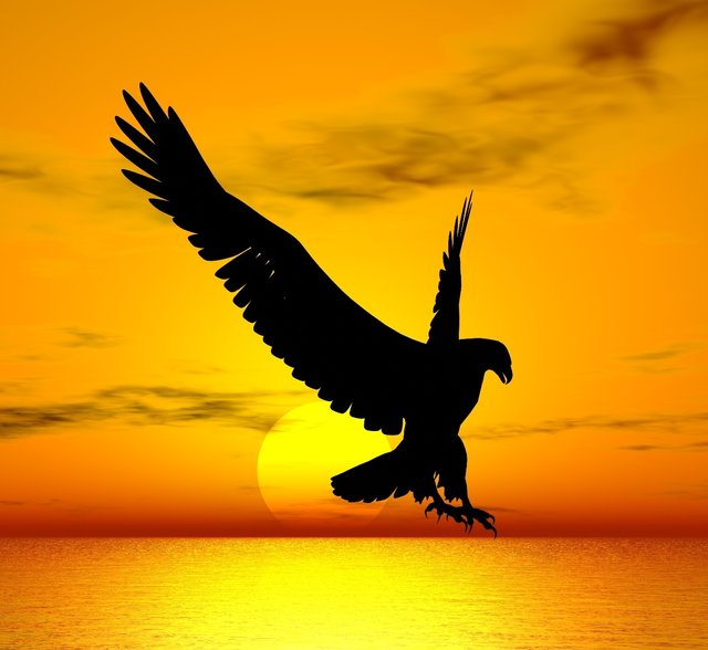 flying-eagle.jpg