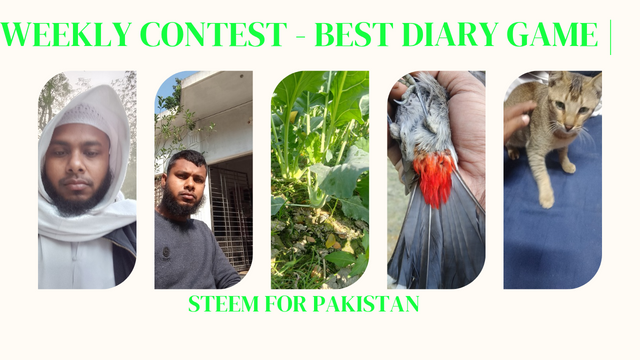 Weekly Contest - Best Diary Game __20250119_225107_0000.png