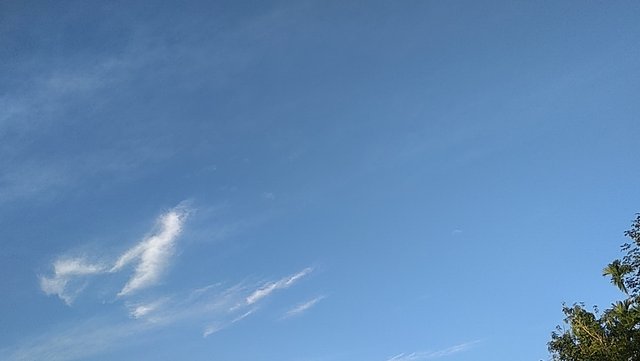 PANO_20210727_070646.jpg