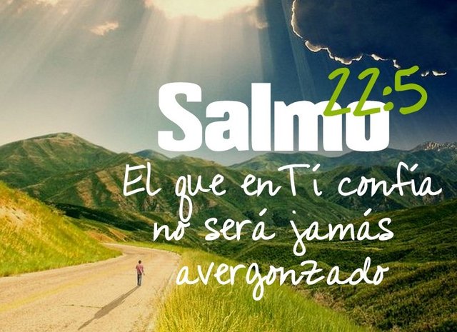 SALMO-22.5.jpg