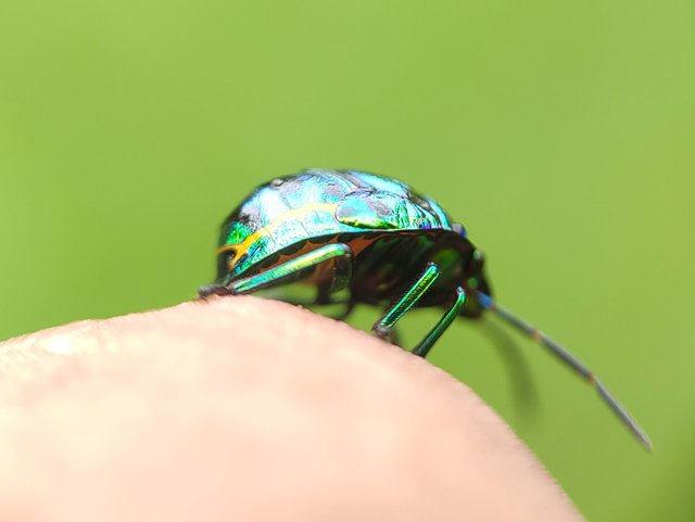 IMG_20230730_150832.jpg