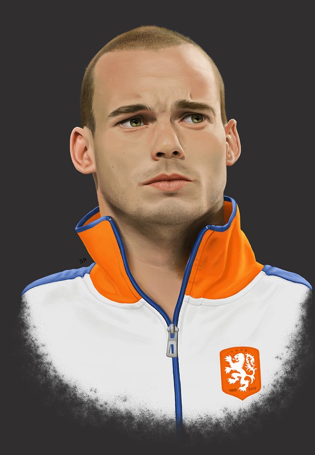 Sneijder small.jpg
