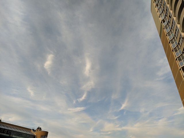 IMG_20210804_191028.jpg