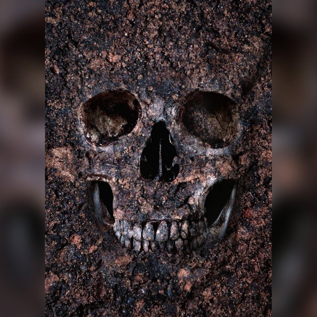 Skull-Insta.jpg