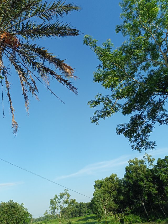 IMG20250627172551.jpg