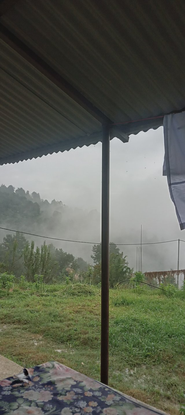 20250814_164343.jpg