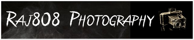 Raj808PhotographyBanner.jpg