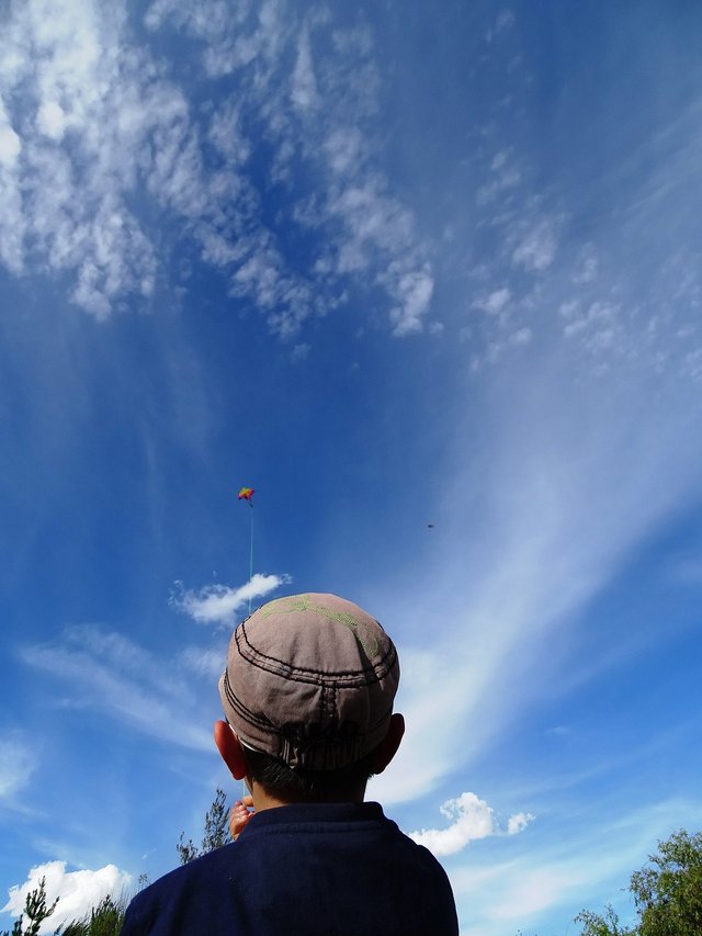 kite-1560242_1280.jpg