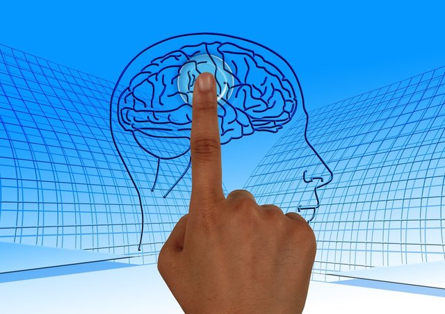 brain-770044_1280.jpg