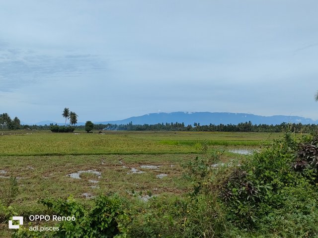 IMG20250716083229.jpg