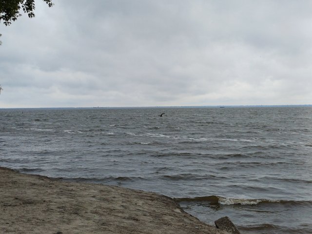 20250918_092821.jpg