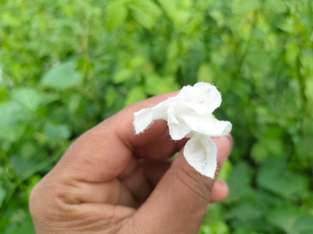 IMG20250713175053.jpg
