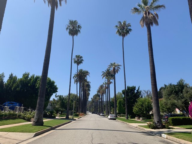 Beverly Hills12.jpg