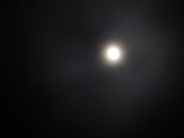 crappy moon photo.JPG