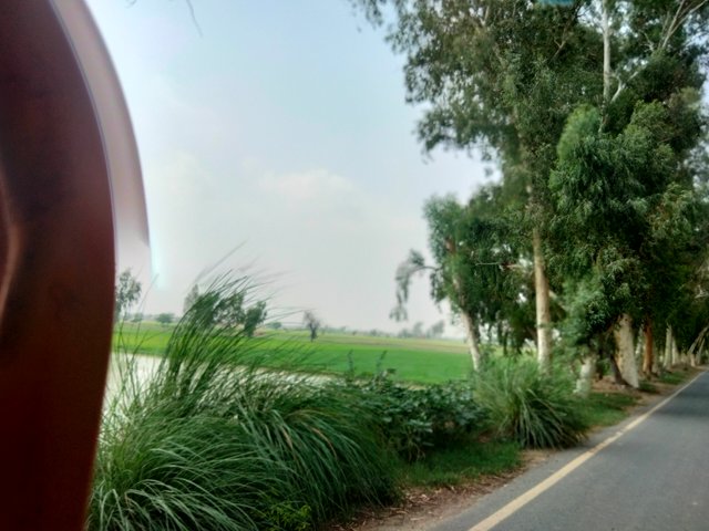 IMG20250806102110.jpg