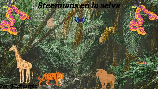 Concurso Steemians en la selva (2).jpg