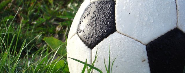 Wet-Grass-muddy-games-in-the-eos-ecosystem.jpg