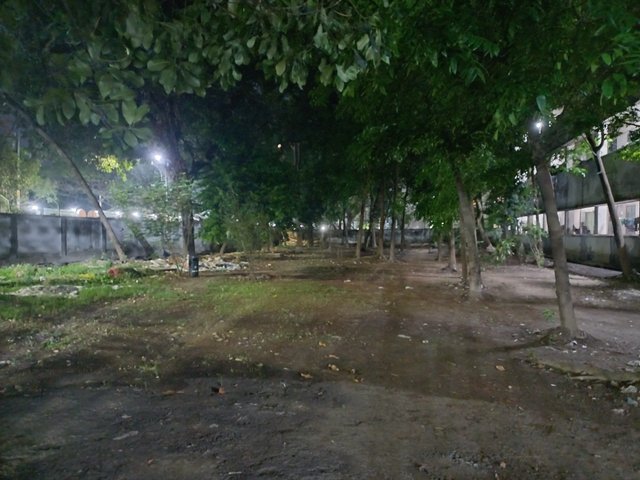 20250420_000011.jpg