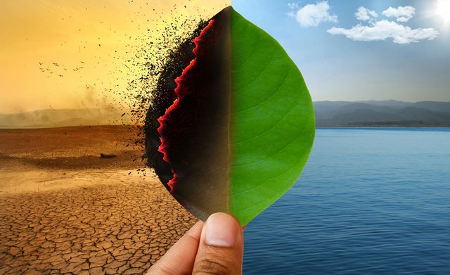 NFT Technology in Combating Climate Change