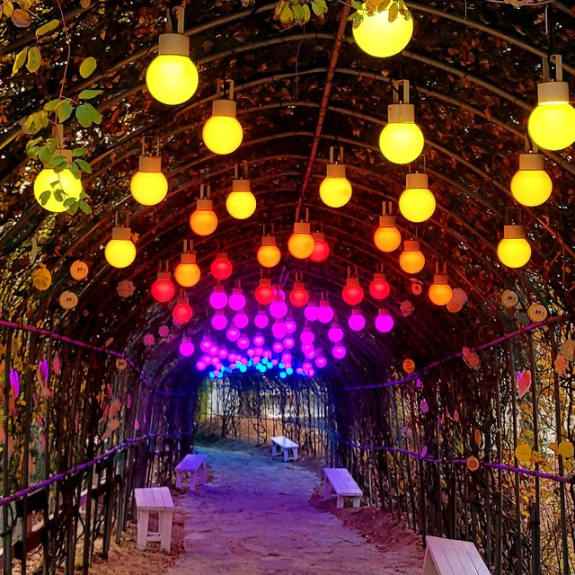 20201116_113106.jpg