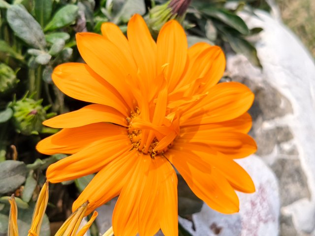 IMG20250122133032.jpg