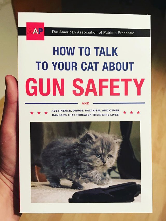 cat-books1.jpg