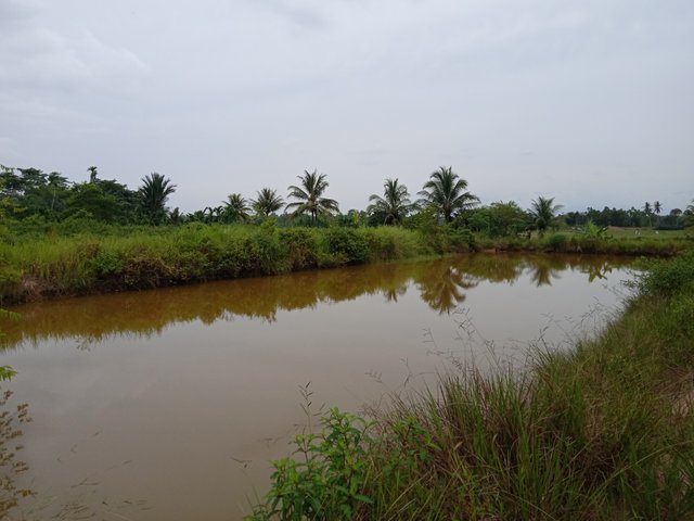 IMG20220719130904.jpg