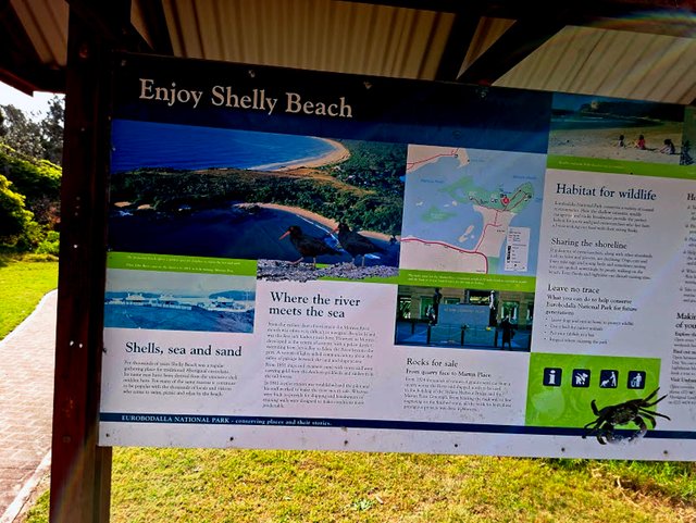 20251005_162010.jpg