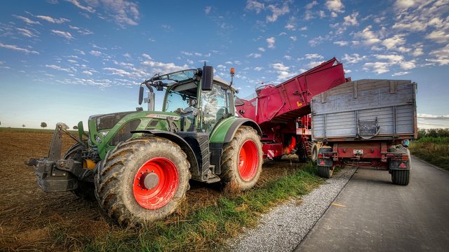 potato-harvest-4530241_1920.jpg