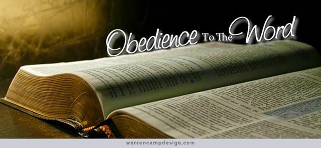 obedience-2.jpg