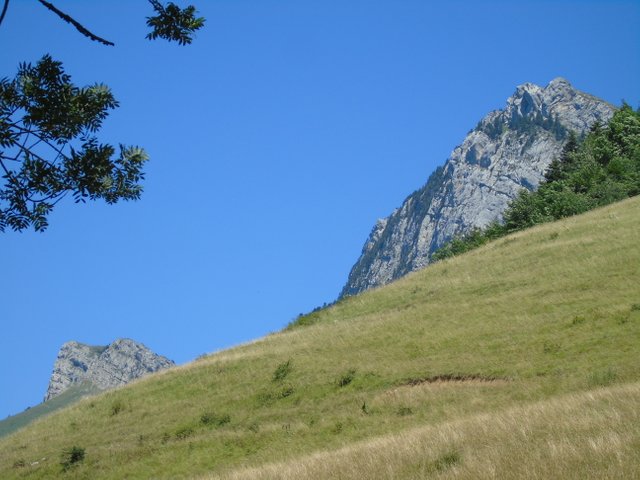 1photofeedlandscape71a (3).JPG