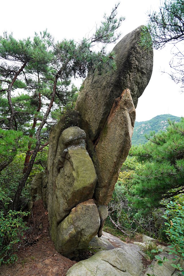 b-DSC02151.JPG