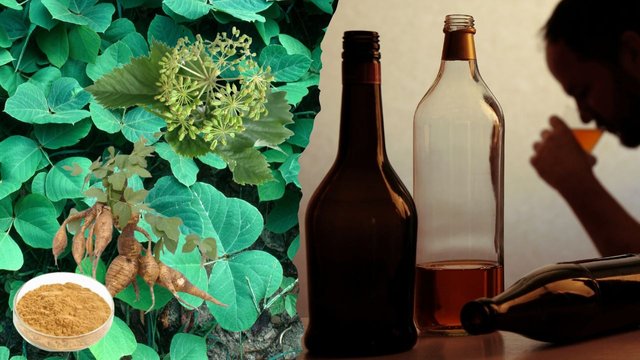 Herbs To Stop Drinking Alcohol Naturally.jpg