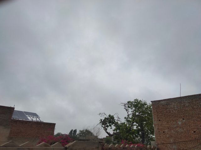 IMG20250716164212.jpg