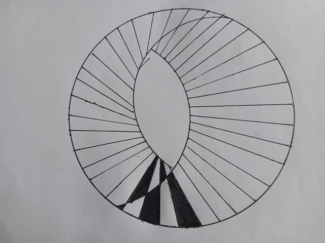 1000045267.jpg