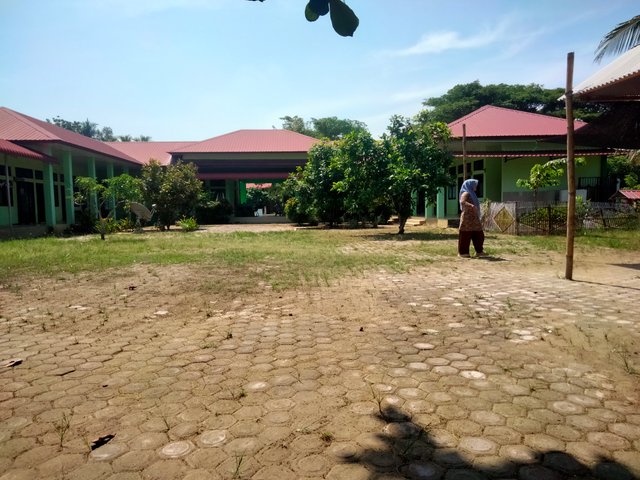 IMG20250626104855.jpg
