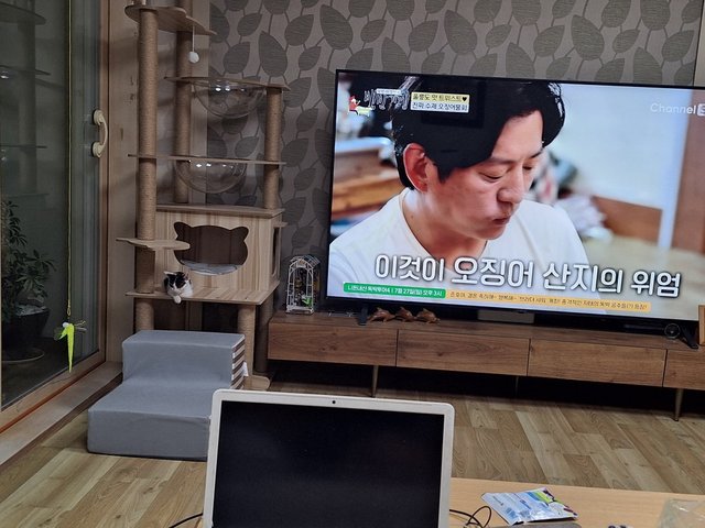 KakaoTalk_20250722_001753473.jpg