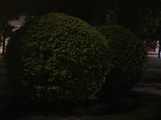 image.jpeg