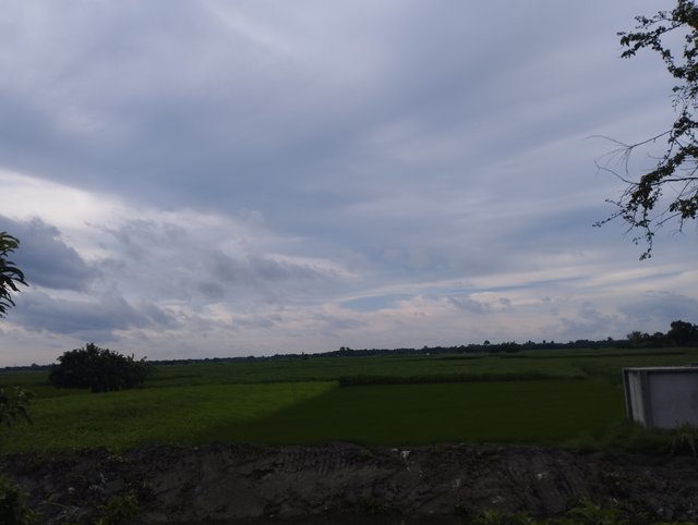 IMG_20250530_172014.jpg