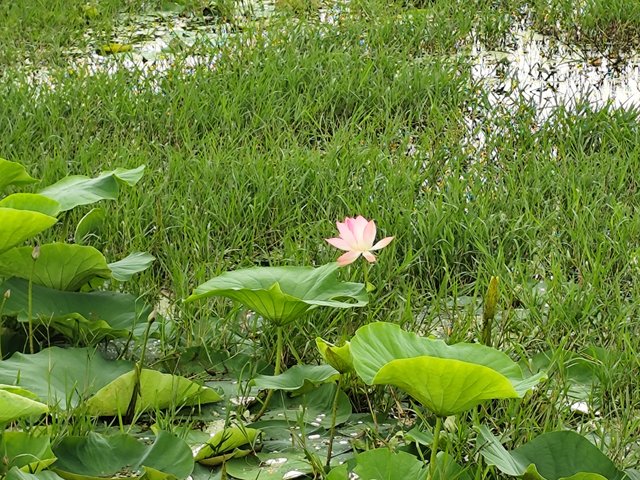 IMG_20250814_063703.jpg