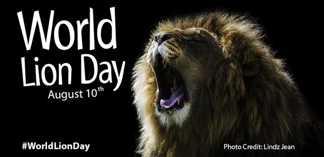 world-lion-day.jpg